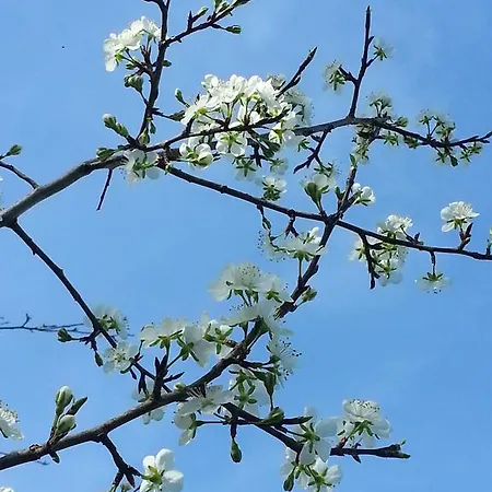 Amore Di Maremma 3* Гроссето