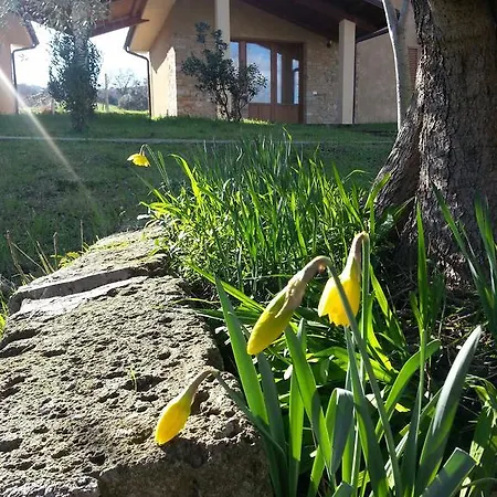 Amore Di Maremma Oda ve Kahvaltı Grosseto