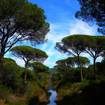 Amore Di Maremma Oda ve Kahvaltı