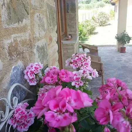 Amore Di Maremma 3* Grosseto