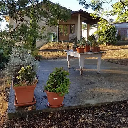 Amore Di Maremma Bed & Breakfast Grosseto