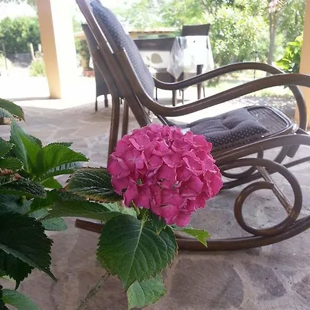 Bed & Breakfast Amore Di Maremma Grosseto