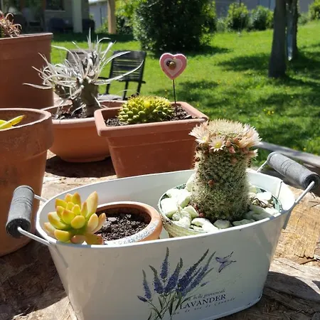 Amore Di Maremma Bed & Breakfast Grosseto